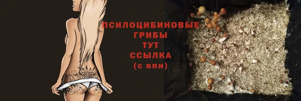 молекула духа Арсеньев