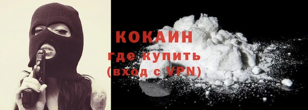 молекула духа Арсеньев