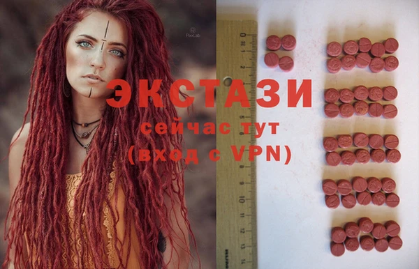 молекула духа Арсеньев