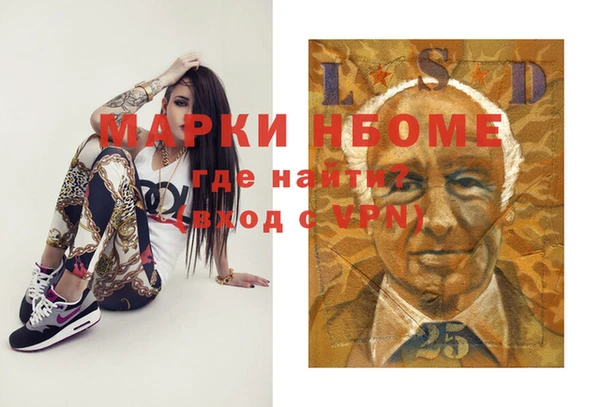 молекула духа Арсеньев