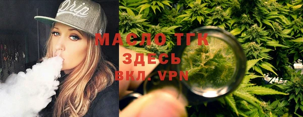 молекула духа Арсеньев