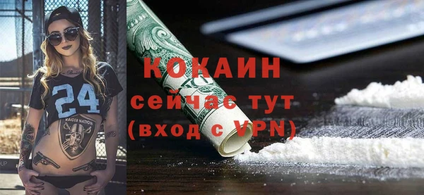молекула духа Арсеньев