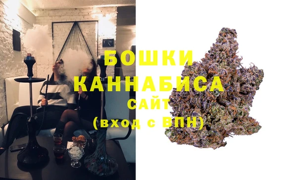 молекула духа Арсеньев