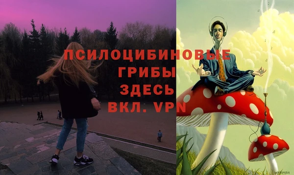 дурь Армянск