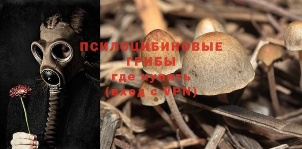 дурь Армянск