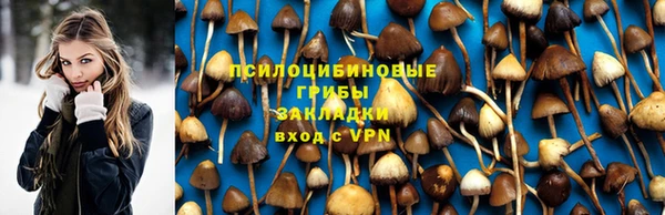 молекула духа Арсеньев