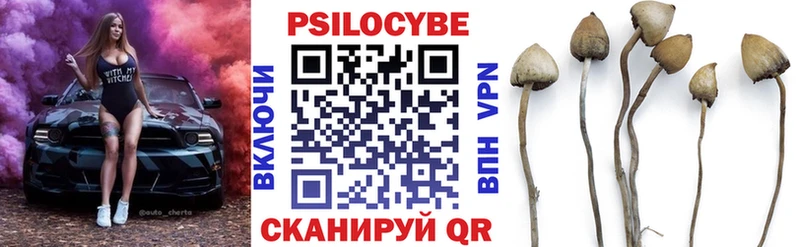 Купить где  Троицк  Псилоцибиновые грибы GOLDEN TEACHER 